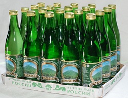 Славяновская лечебно-столовая минеральная вода 0,5л (стекло) (20 бутылок)