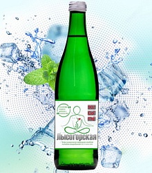 Лысогорская лечебная минеральная вода с Магнием Mg+ 0,5л стекло (12 бутылок)